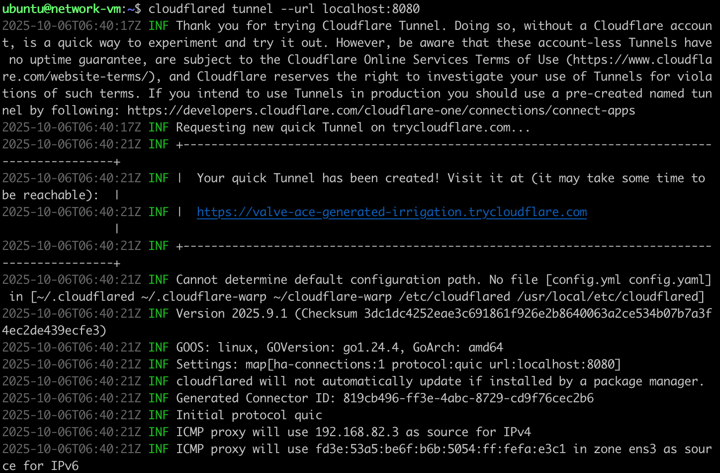 cloudflared domain name